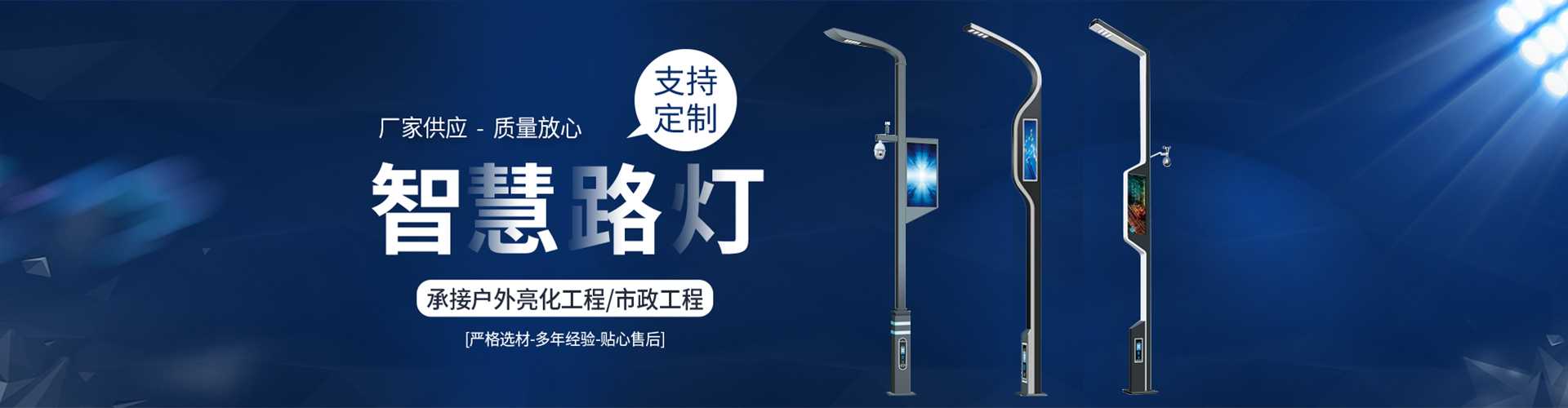 扶绥县太阳能路灯定制厂家