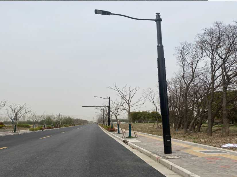 扶绥县上海综合杆 太阳能路灯工程